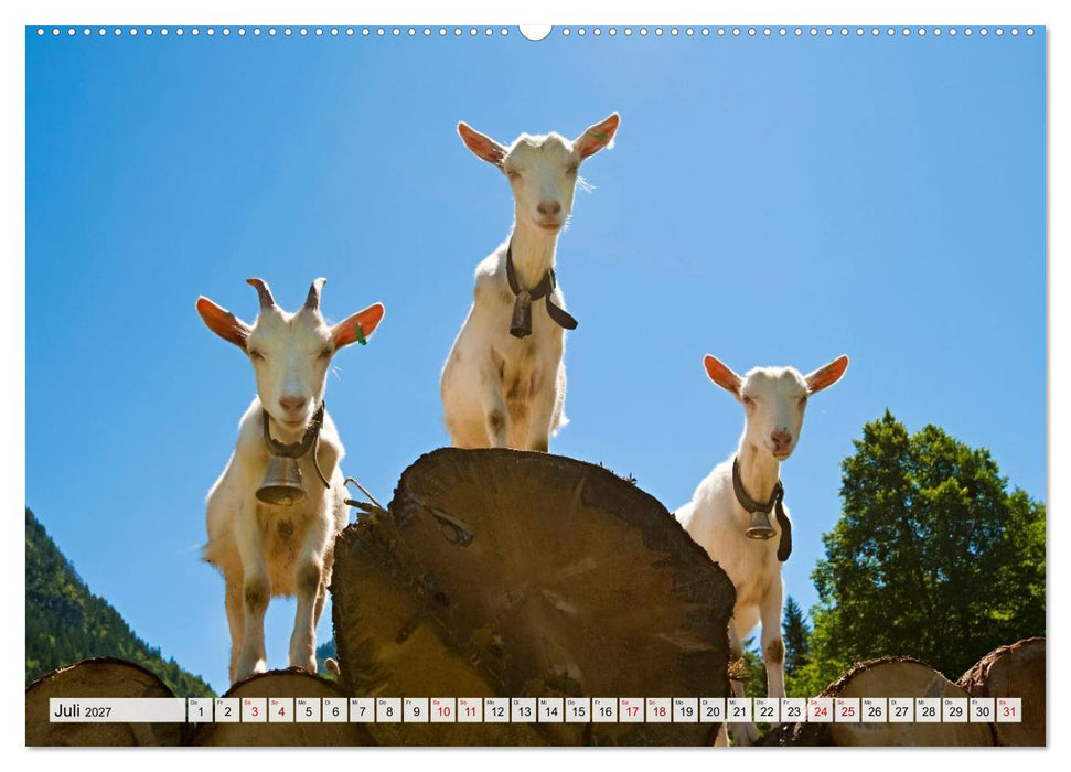Traumhaftes Allgäu (CALVENDO Premium Wandkalender 2027)