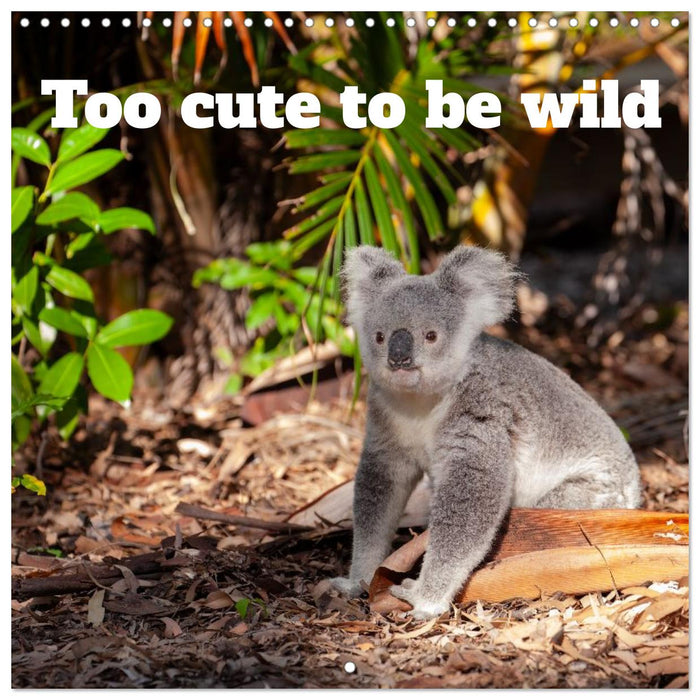 Too cute to be wild (CALVENDO Monthly Calendar 2027)