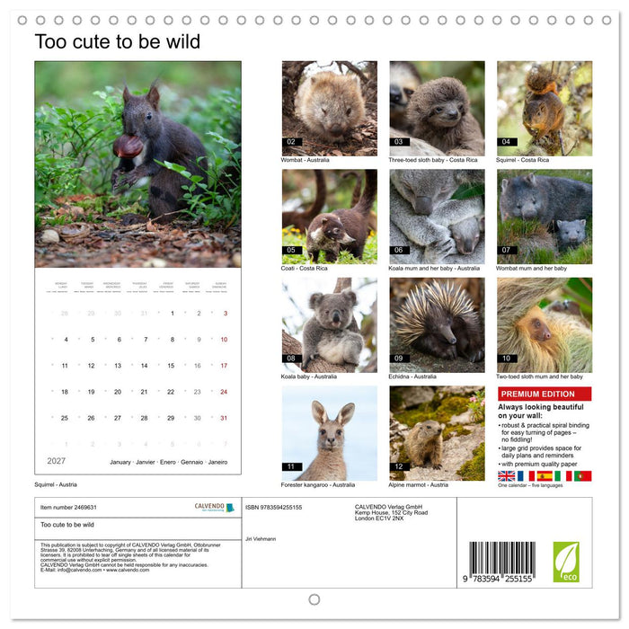 Too cute to be wild (CALVENDO Monthly Calendar 2027)