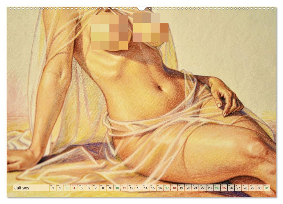 Sinnliche Darstellung (CALVENDO Premium Wandkalender 2027)