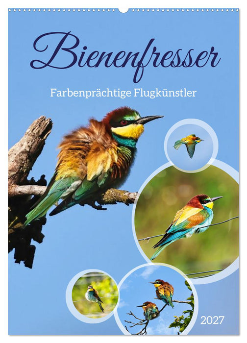 Bienenfresser, farbenprächtige Flugkünstler (CALVENDO Wandkalender 2027)