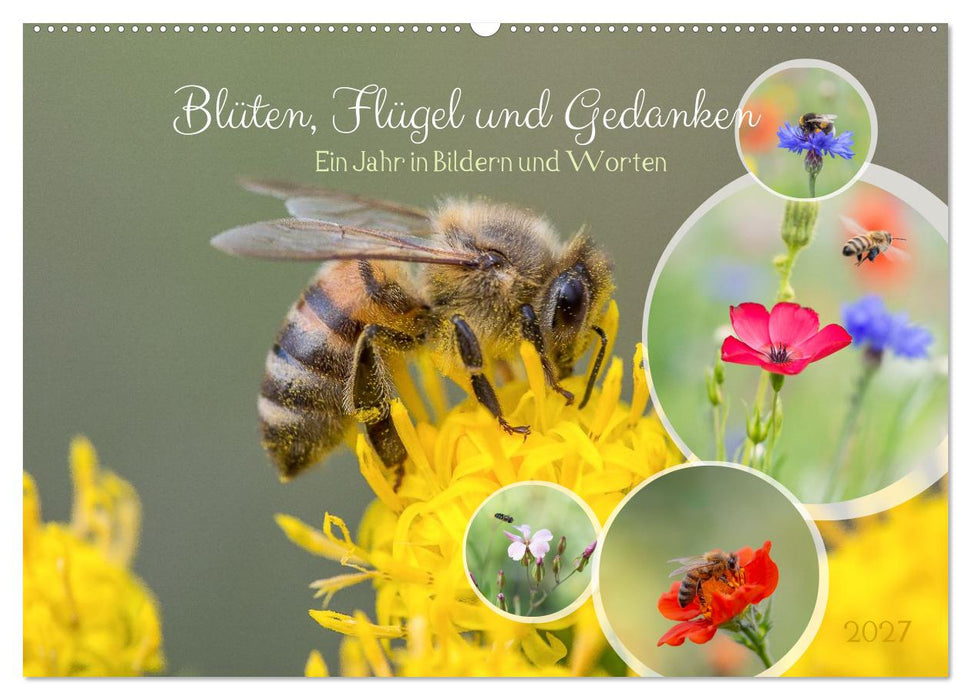 Blüten,Flügel und Gedanken – Ein Jahr in Bildern und Worten (CALVENDO Wandkalender 2027)
