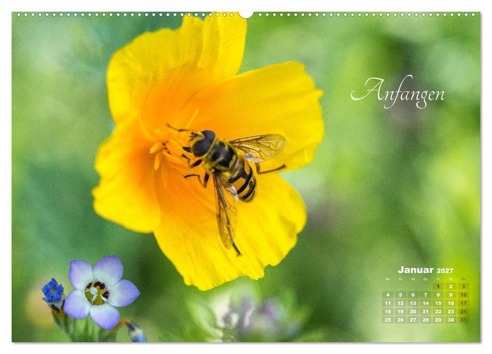 Blüten,Flügel und Gedanken – Ein Jahr in Bildern und Worten (CALVENDO Wandkalender 2027)