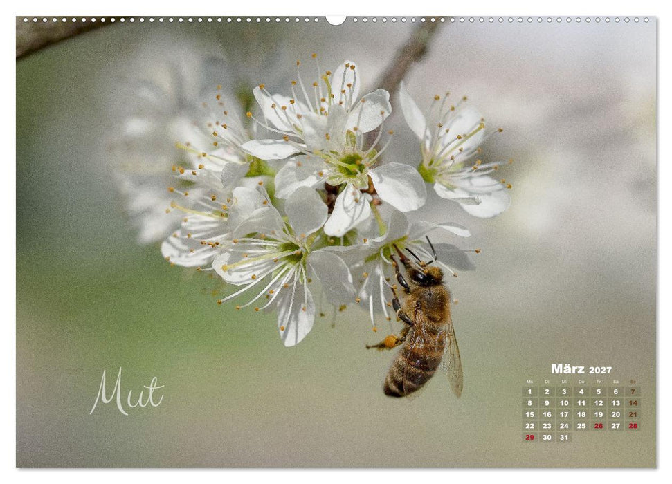 Blüten,Flügel und Gedanken – Ein Jahr in Bildern und Worten (CALVENDO Wandkalender 2027)