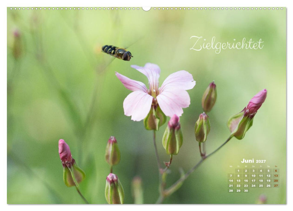 Blüten,Flügel und Gedanken – Ein Jahr in Bildern und Worten (CALVENDO Wandkalender 2027)