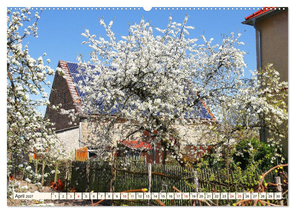 Brandenburg - Drei Dörfer im Naturpark Nuthe-Nieplitz - Fresdorf, Stücken, Körzin (CALVENDO Wandkalender 2027)