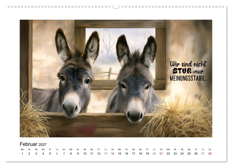 Lieblingsesel (CALVENDO Premium Wandkalender 2027)
