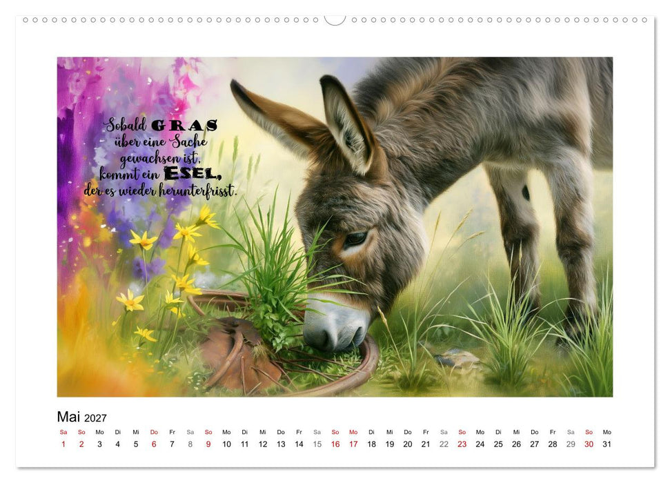 Lieblingsesel (CALVENDO Premium Wandkalender 2027)