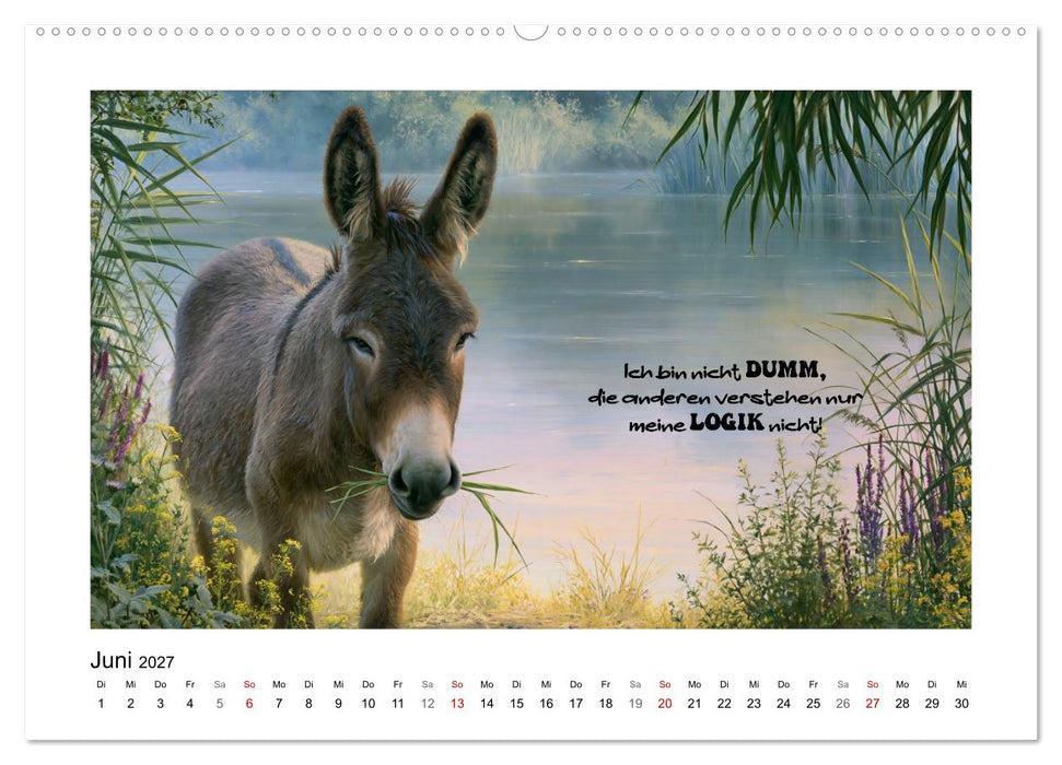 Lieblingsesel (CALVENDO Premium Wandkalender 2027)