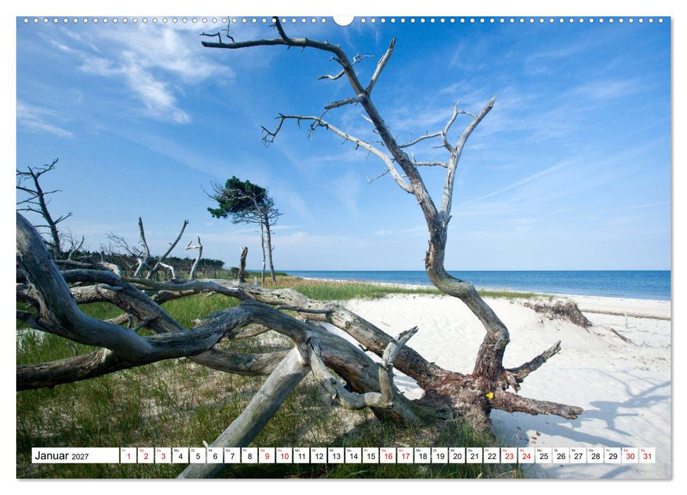 Fischland-Darß-Zingst - Momente einer Reise (CALVENDO Wandkalender 2027)
