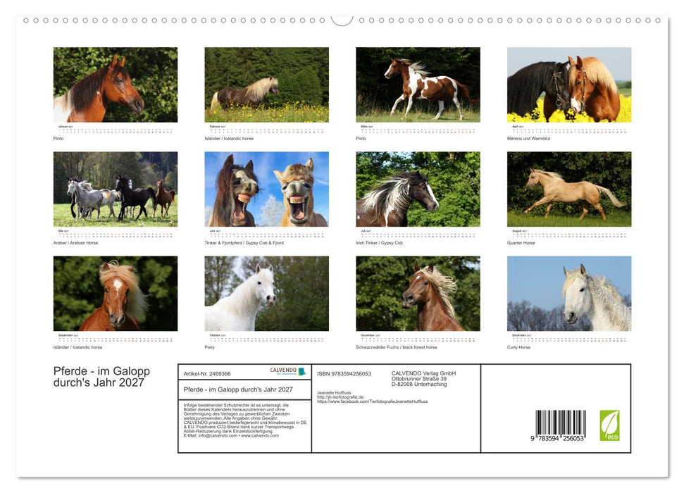 Pferde - im Galopp durch's Jahr 2027 (CALVENDO Premium Wandkalender 2027)