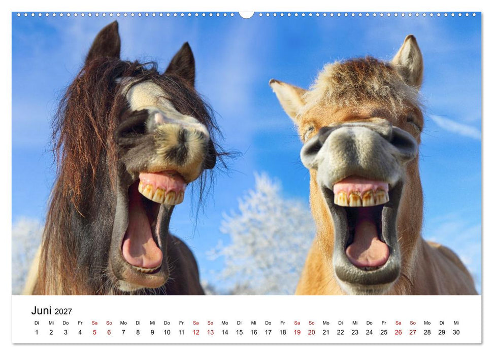 Pferde - im Galopp durch's Jahr 2027 (CALVENDO Premium Wandkalender 2027)