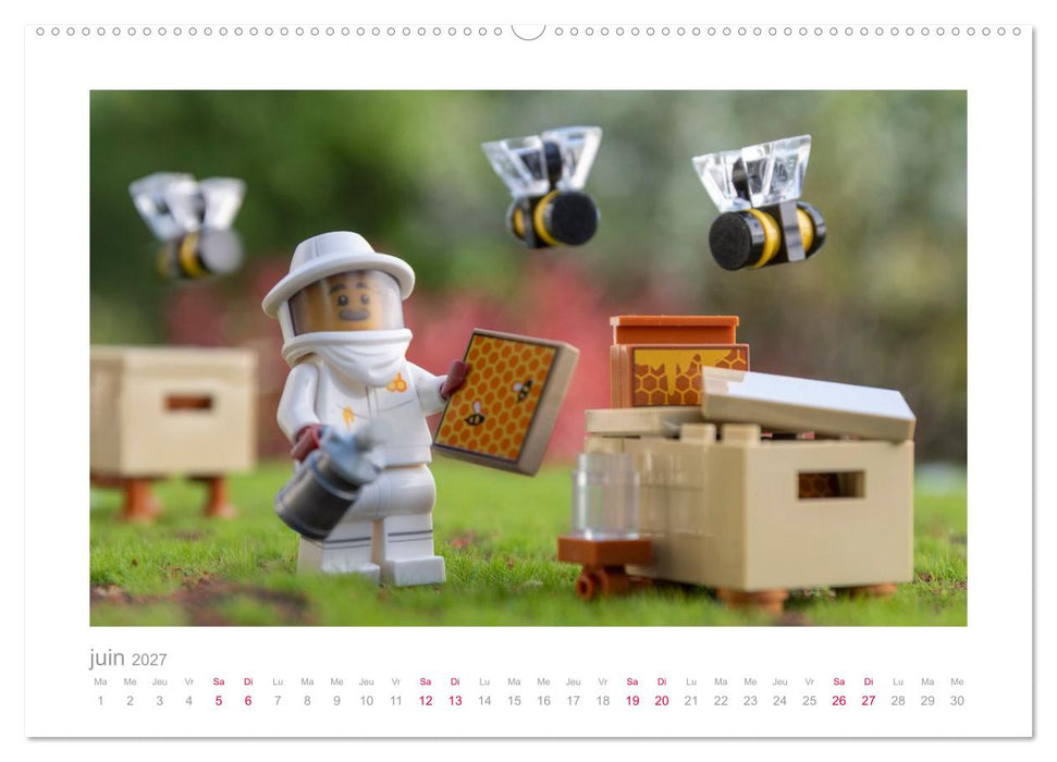 Des jouets dans l'objectif (CALVENDO Calendrier mensuel 2027)