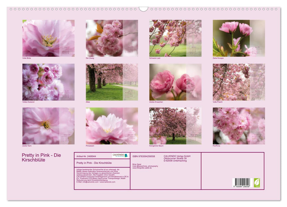 Pretty in Pink - Die Kirschblüte (CALVENDO Wandkalender 2027)