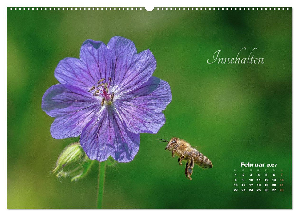 Blüten,Flügel und Gedanken – Ein Jahr in Bildern und Worten (CALVENDO Premium Wandkalender 2027)
