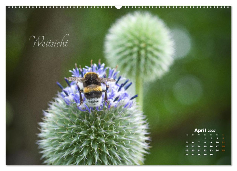 Blüten,Flügel und Gedanken – Ein Jahr in Bildern und Worten (CALVENDO Premium Wandkalender 2027)