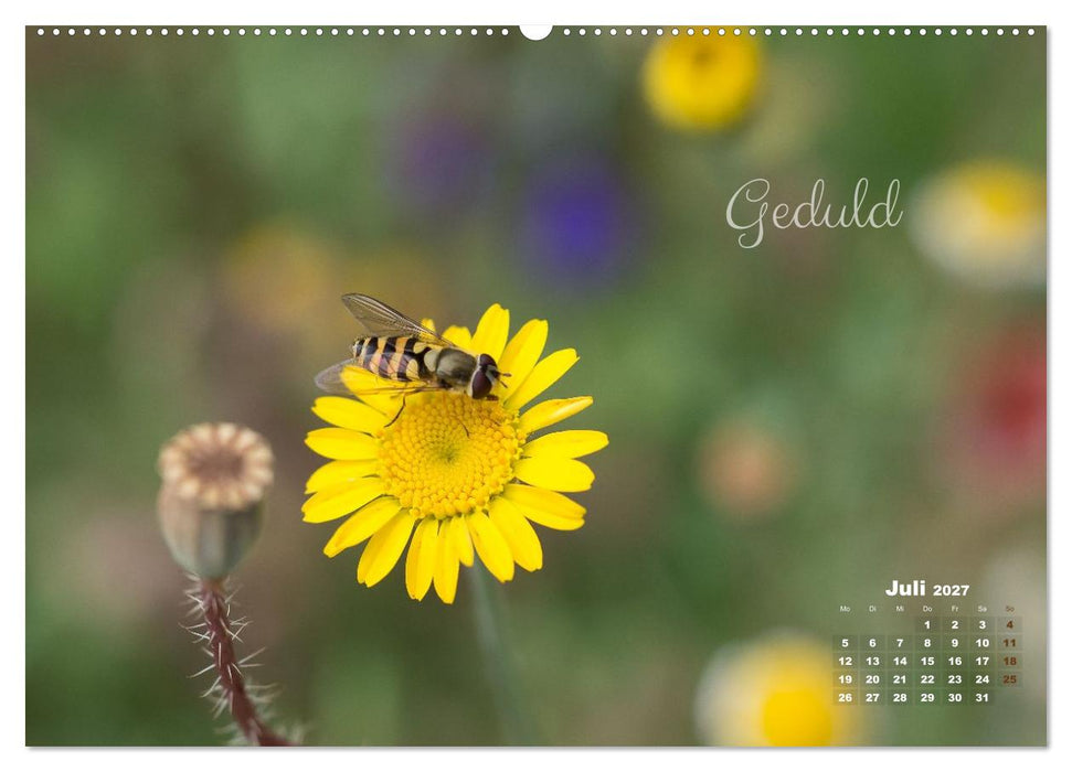 Blüten,Flügel und Gedanken – Ein Jahr in Bildern und Worten (CALVENDO Premium Wandkalender 2027)