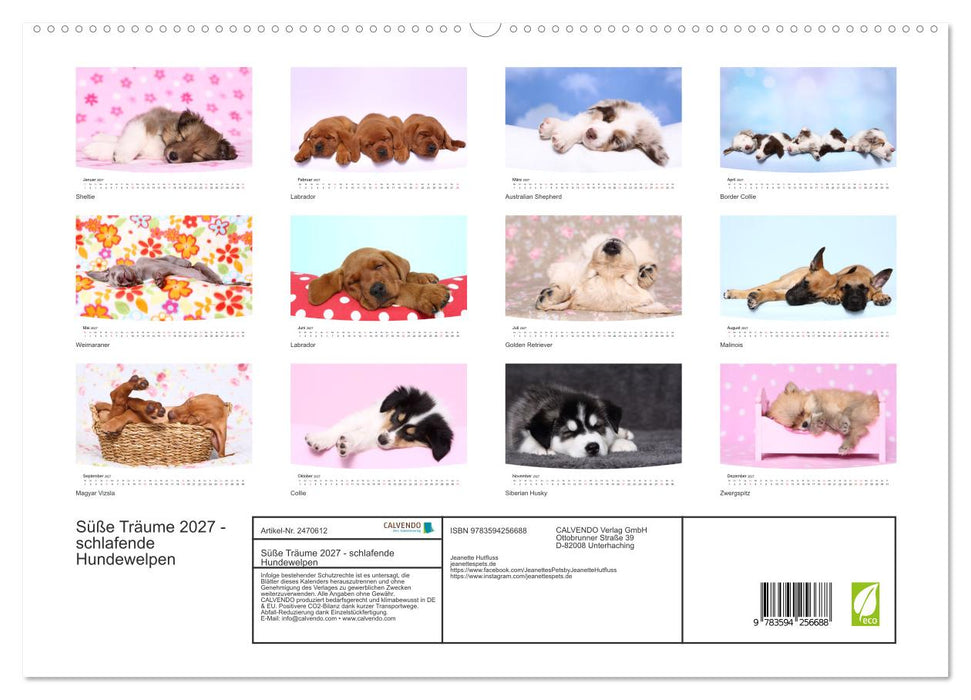 Süße Träume 2027 - schlafende Hundewelpen (CALVENDO Premium Wandkalender 2027)