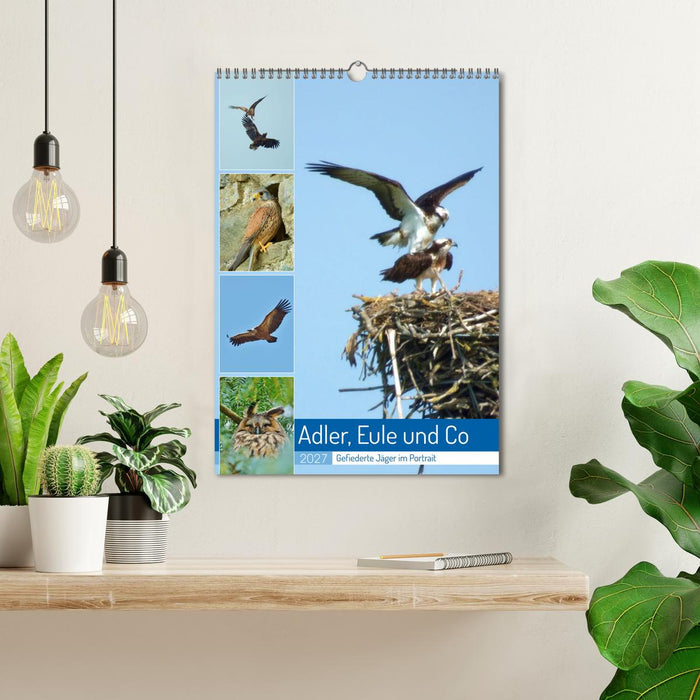Adler, Eule und Co - Gefiederte Jäger im Portrait (CALVENDO Wandkalender 2027)