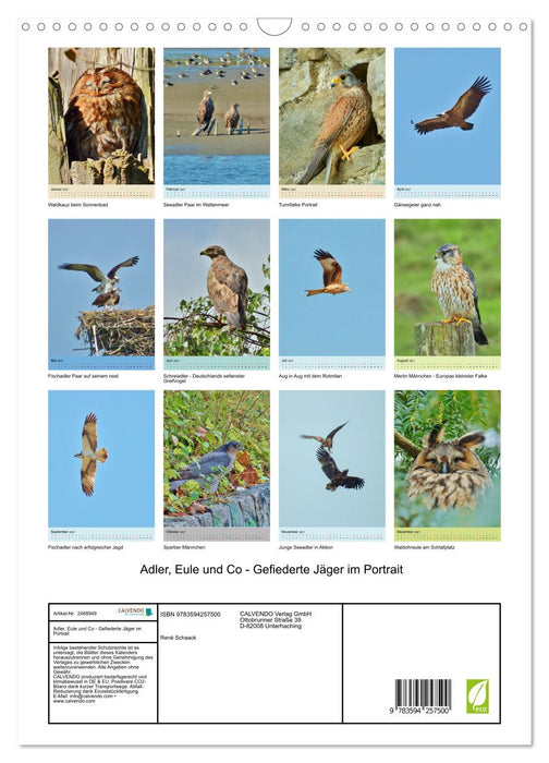 Adler, Eule und Co - Gefiederte Jäger im Portrait (CALVENDO Wandkalender 2027)