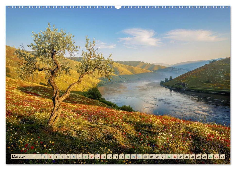 Friedliche Landschaften (CALVENDO Wandkalender 2027)