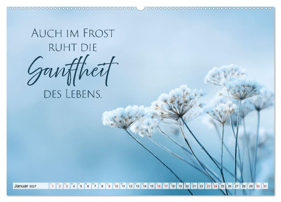 Meditation und Harmonie - Klang der Ruhe (CALVENDO Wandkalender 2027)