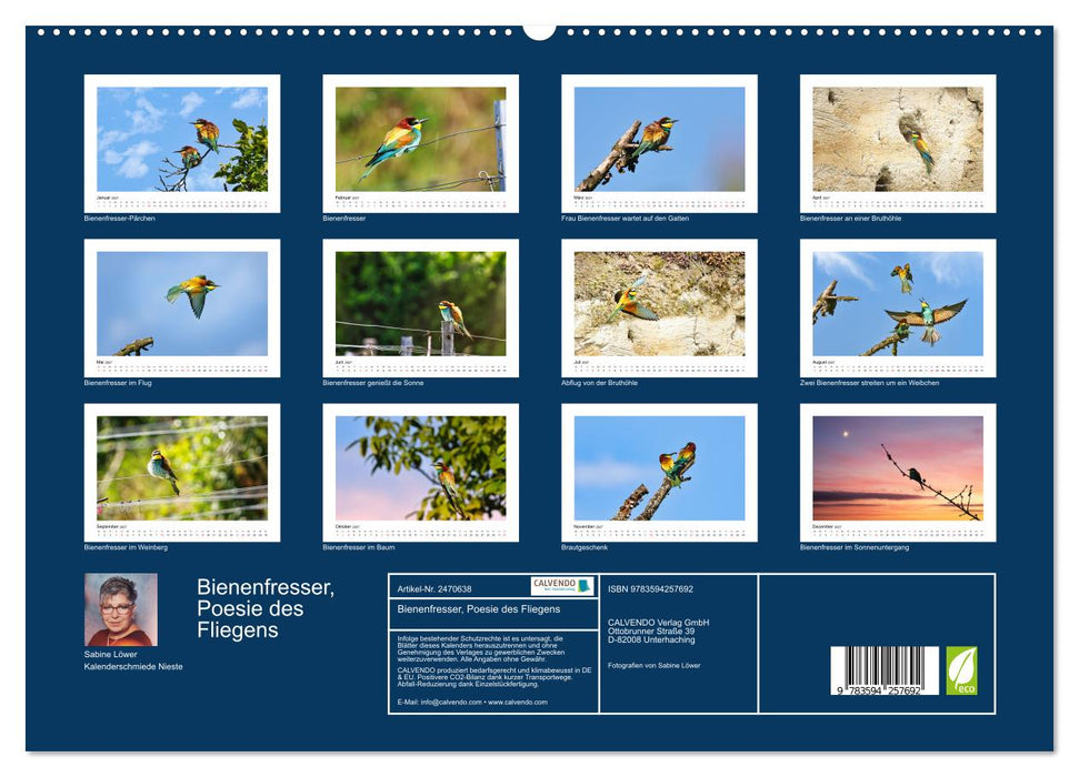 Bienenfresser, Poesie des Fliegens (CALVENDO Premium Wandkalender 2027)