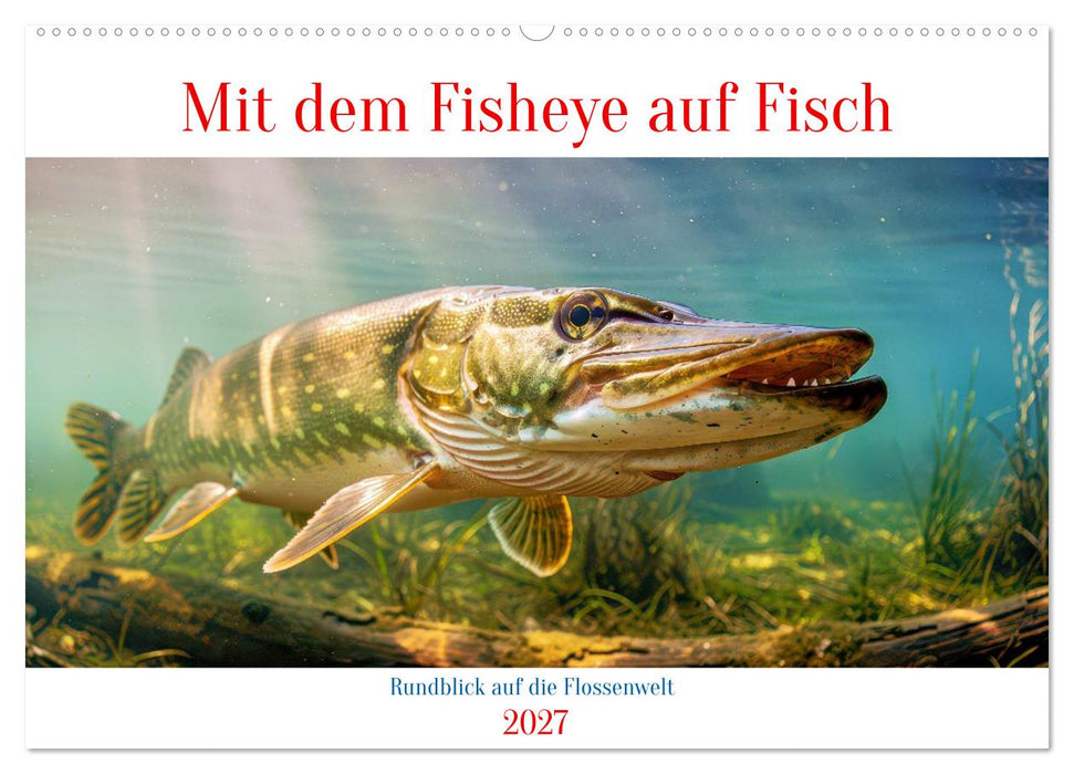 Mit dem Fisheye auf Fisch (CALVENDO Wandkalender 2027)