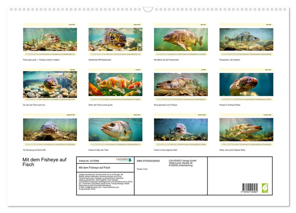 Mit dem Fisheye auf Fisch (CALVENDO Wandkalender 2027)