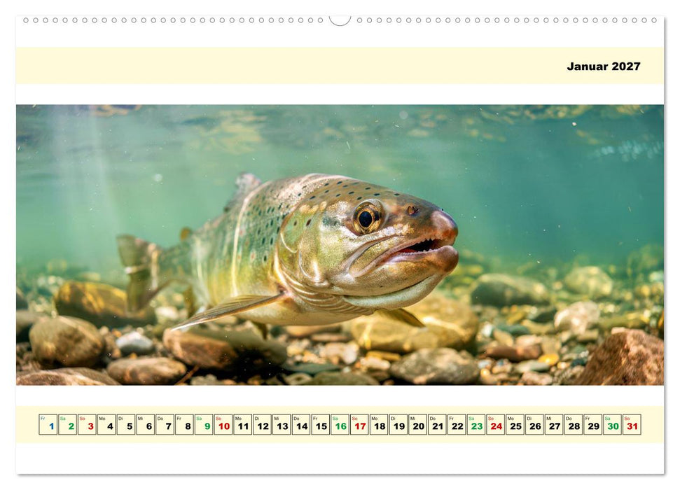 Mit dem Fisheye auf Fisch (CALVENDO Wandkalender 2027)