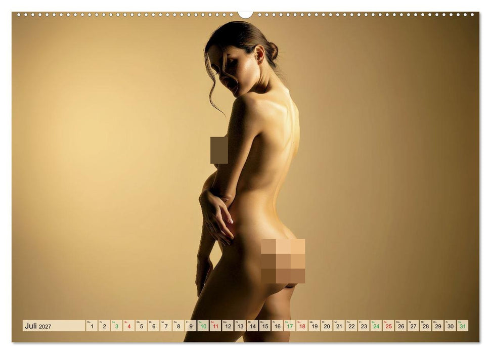 Schmeichelhafte Erotik (CALVENDO Premium Wandkalender 2027)