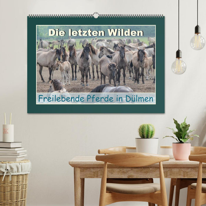 Die letzten Wilden - freilebende Pferde in Dülmen (CALVENDO Wandkalender 2027)