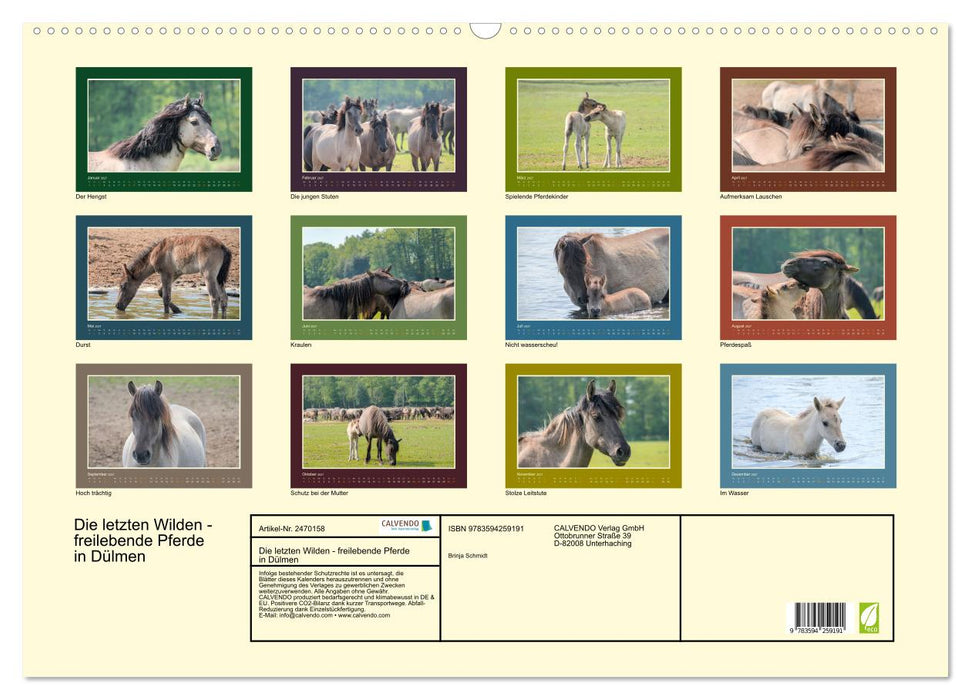 Die letzten Wilden - freilebende Pferde in Dülmen (CALVENDO Wandkalender 2027)