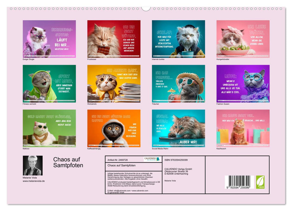 Chaos auf Samtpfoten (CALVENDO Premium Wandkalender 2027)