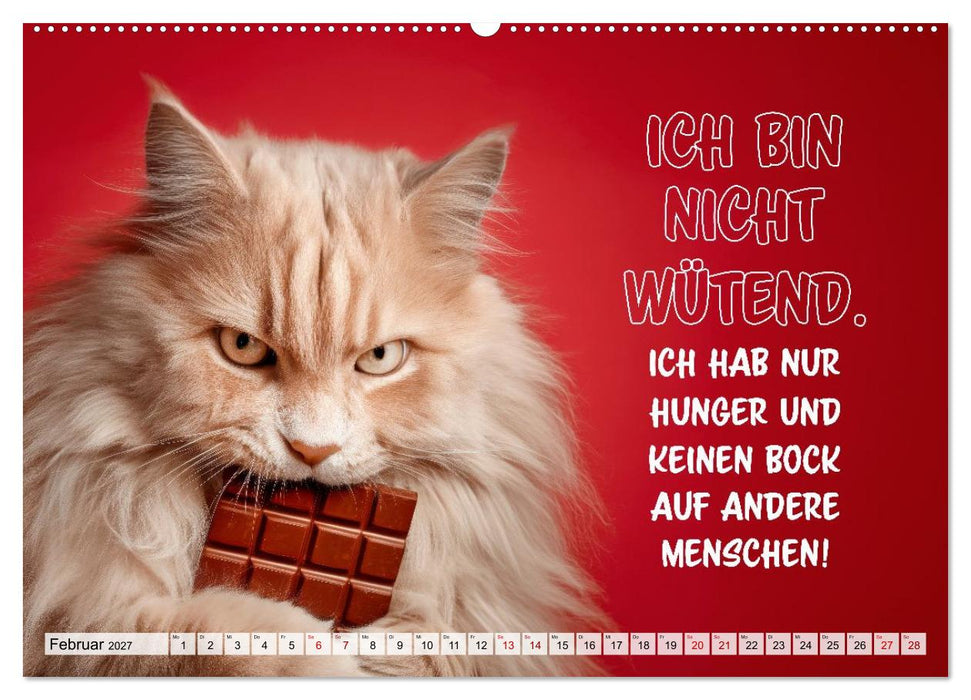 Chaos auf Samtpfoten (CALVENDO Premium Wandkalender 2027)