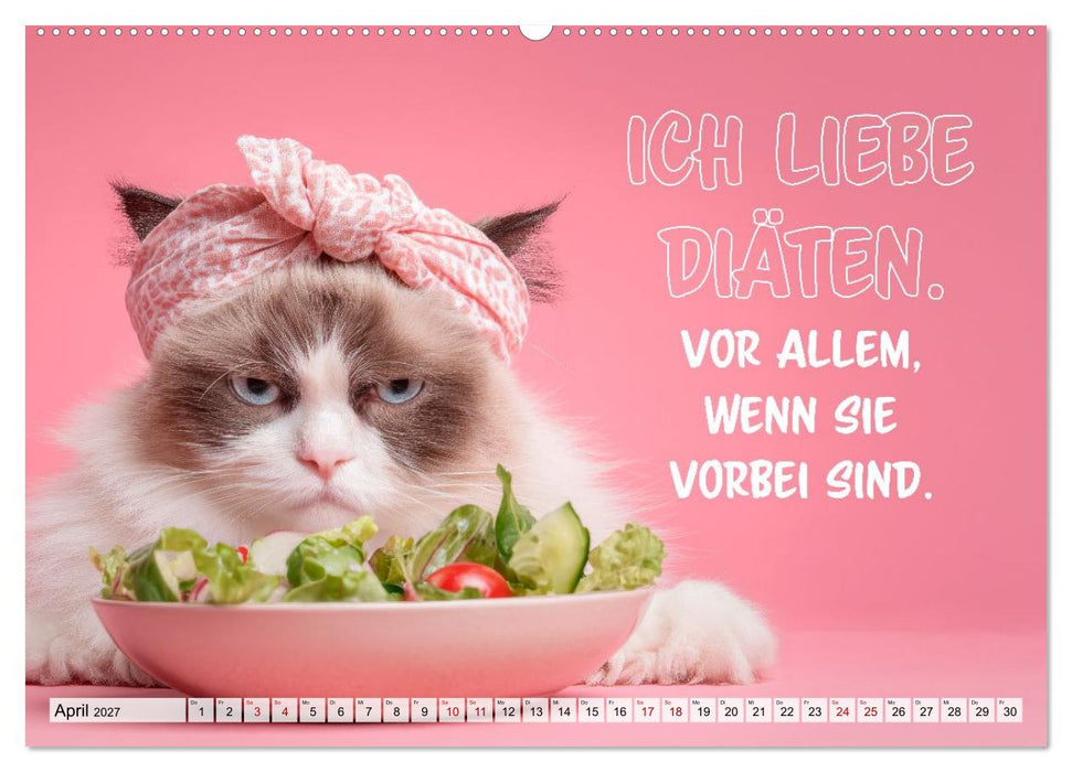 Chaos auf Samtpfoten (CALVENDO Premium Wandkalender 2027)