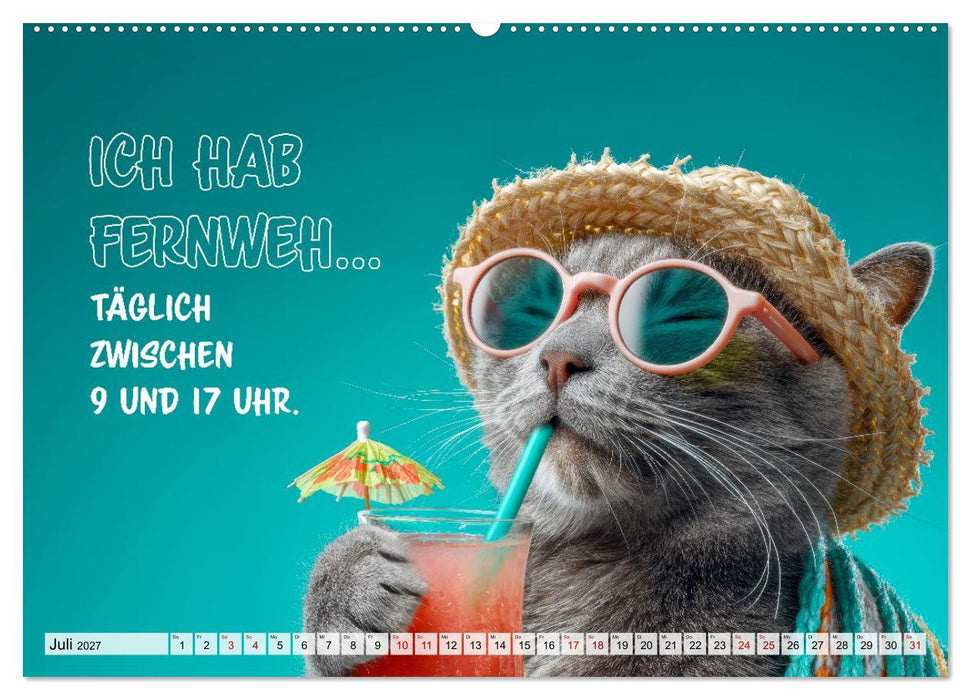 Chaos auf Samtpfoten (CALVENDO Premium Wandkalender 2027)