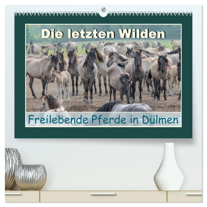 Die letzten Wilden - freilebende Pferde in Dülmen (CALVENDO Premium Wandkalender 2027)