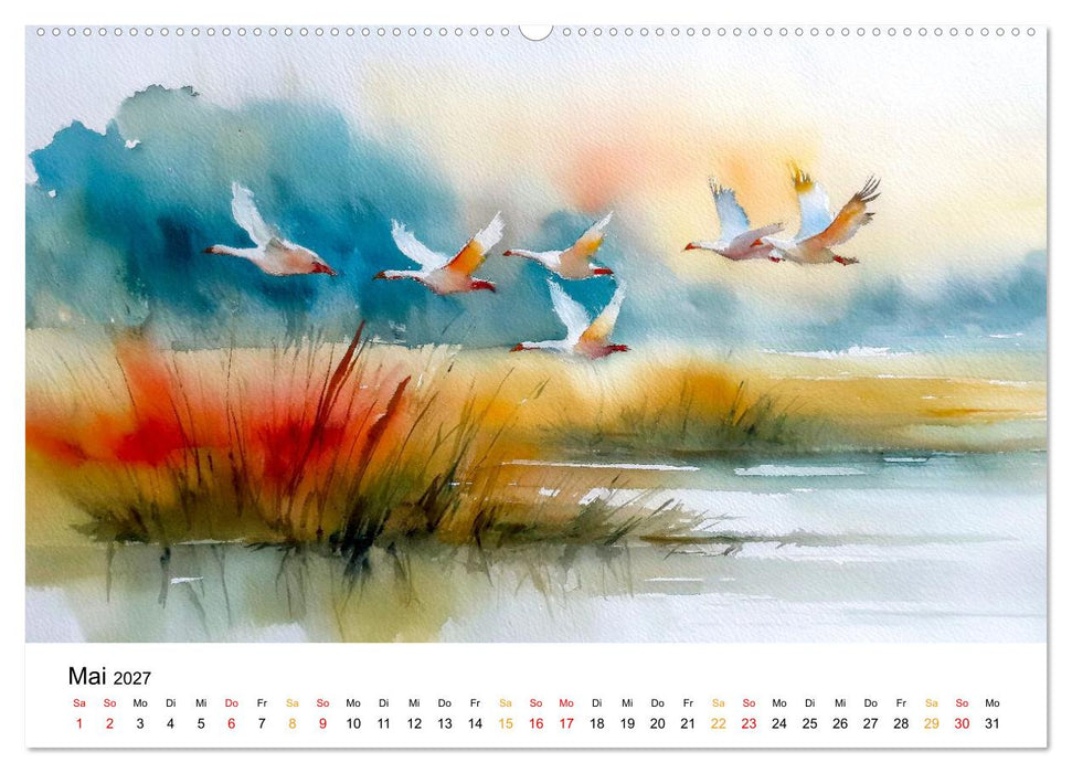 Tiere unserer Heimat in sanften Farben (CALVENDO Wandkalender 2027)