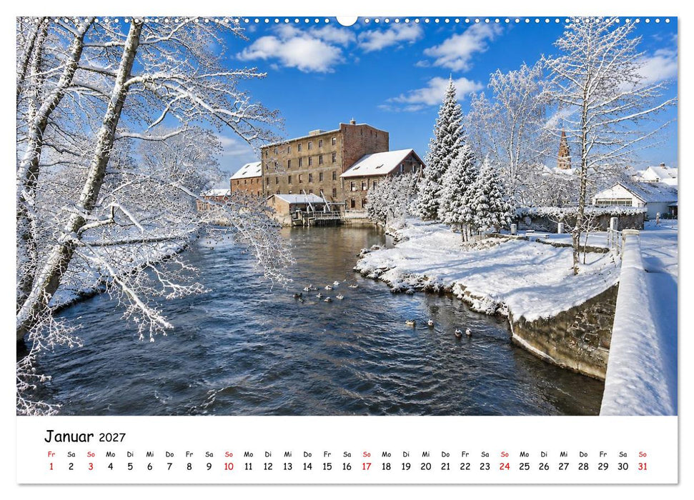 Erlensee und Wasserbüffel (CALVENDO Premium Wandkalender 2027)