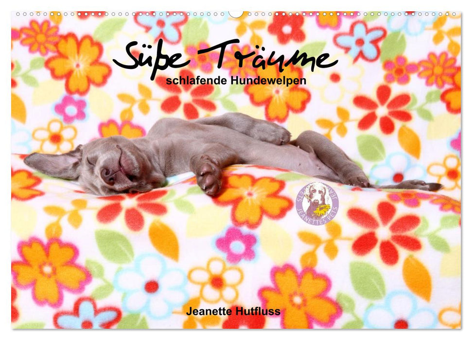 Süße Träume 2027 - schlafende Hundewelpen (CALVENDO Wandkalender 2027)