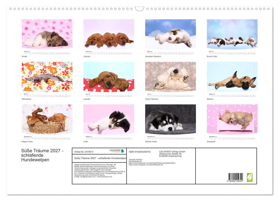 Süße Träume 2027 - schlafende Hundewelpen (CALVENDO Wandkalender 2027)