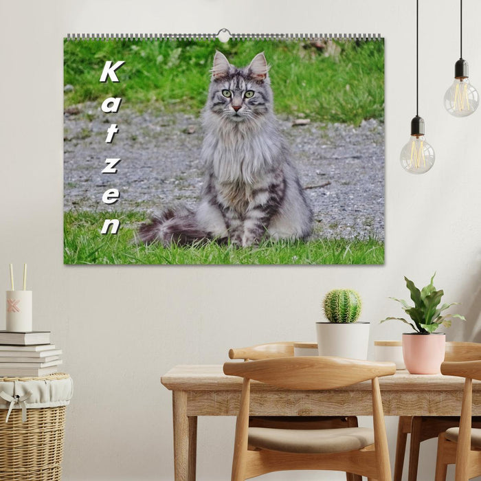 Katzen auf der Welt (CALVENDO Wandkalender 2027)