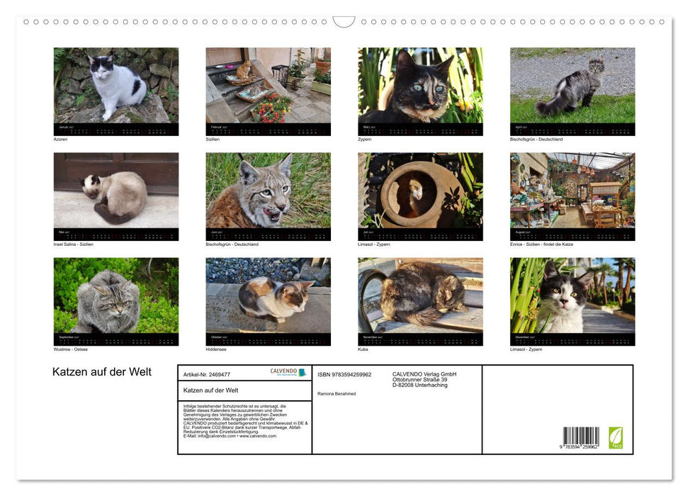 Katzen auf der Welt (CALVENDO Wandkalender 2027)