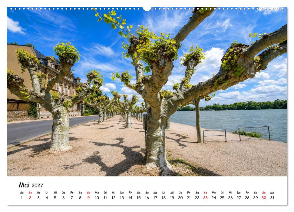 Eltville am Rhein Impressionen (CALVENDO Wandkalender 2027)