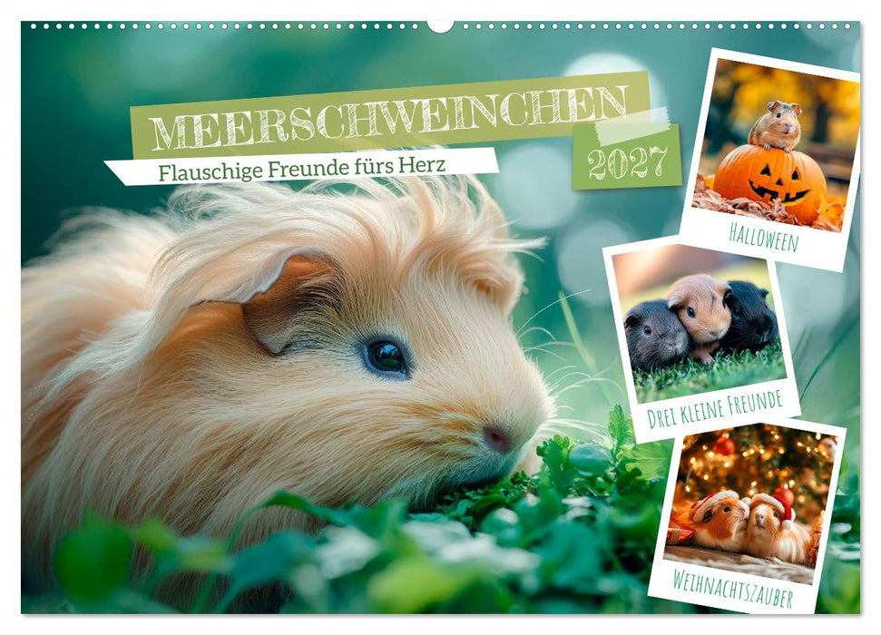 Meerschweinchen - Flauschige Freunde fürs Herz (CALVENDO Wandkalender 2027)