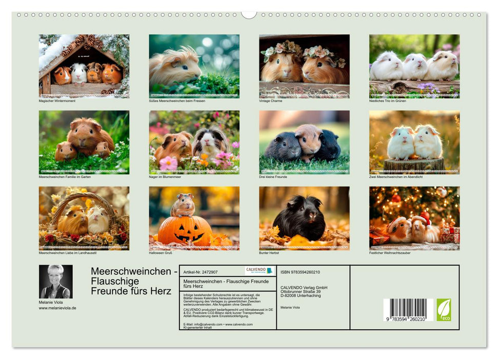 Meerschweinchen - Flauschige Freunde fürs Herz (CALVENDO Wandkalender 2027)