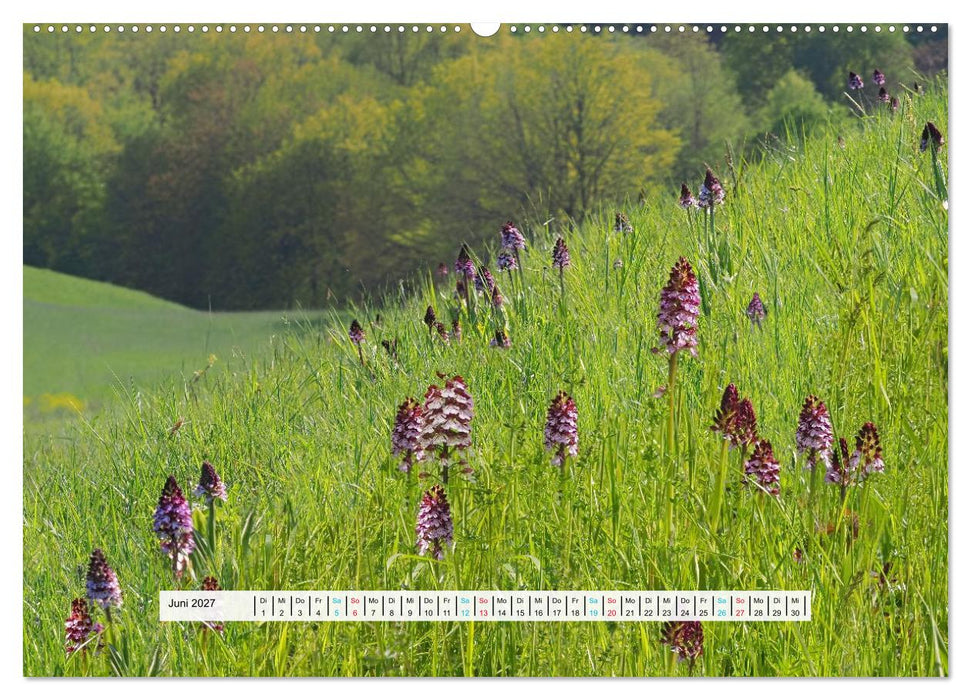 Nahe-Glan im Nord-Pfälzer Bergland (CALVENDO Wandkalender 2027)