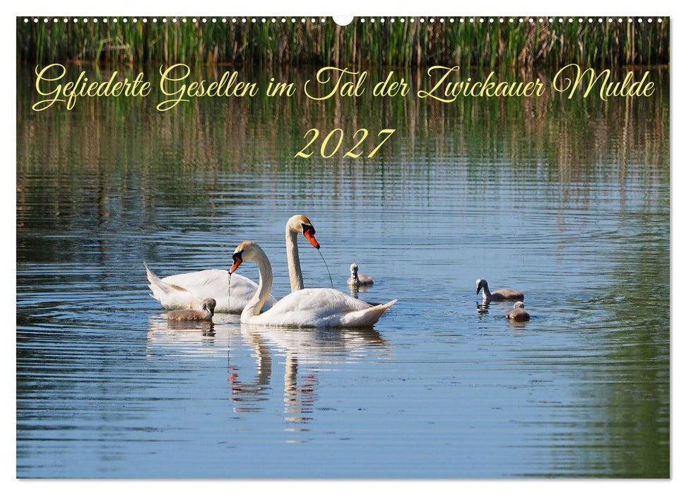 Gefiederte Gesellen im Tal der Zwickauer Mulde (CALVENDO Wandkalender 2027)