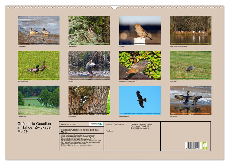 Gefiederte Gesellen im Tal der Zwickauer Mulde (CALVENDO Wandkalender 2027)